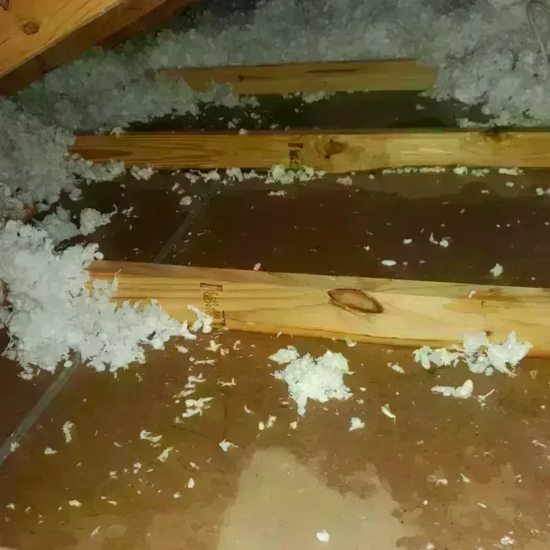 Attic Water Damage in Premont, TX